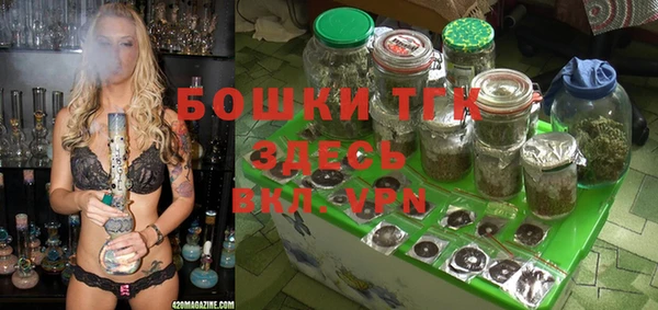 стаф Баксан