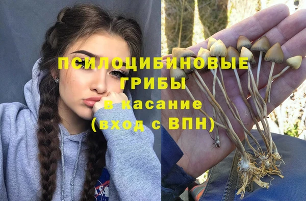 apvp Балахна