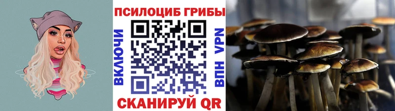ссылка на мегу сайт  Верхнеуральск  Галлюциногенные грибы Psilocybine cubensis 